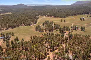 8 Turkey Track Dr, Alpine, AZ 85920 - Photo 31