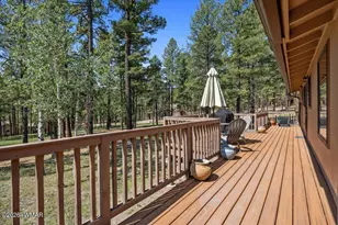 8 Turkey Track Dr, Alpine, AZ 85920 - Photo 21