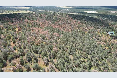 66 N3130, Vernon, AZ 85940 - Photo 19