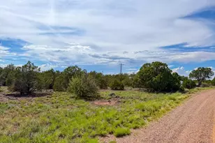 8543 &amp 8545 Loveridge Dr, Show Low, AZ 85901 - Photo 1