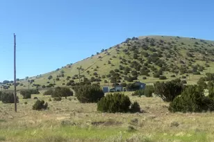 149&amp 151 County Road 5101, Concho, AZ 85924 - Photo 1