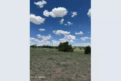 Tbd Eucalyptus Lane, Concho Valley, AZ 85924 - Photo 5