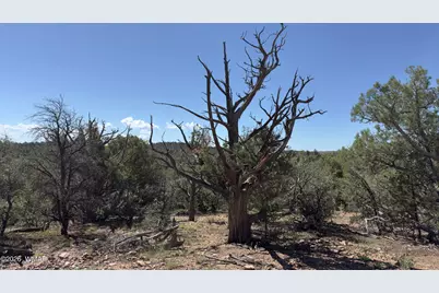 Tbd Bear Run, Unit 205-31-053 #205-31-053, Show Low, AZ 85901 - Photo 11