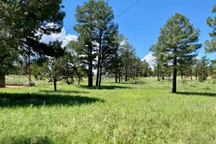 937 Kings High Rd, Show Low, AZ 85901 - Photo 27