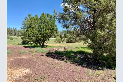 937 Kings High Road, Show Low, AZ 85901 - Photo 33