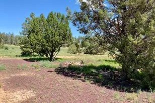 937 Kings High Rd, Show Low, AZ 85901 - Photo 33