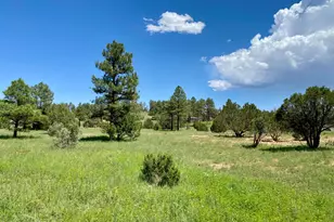 937 Kings High Rd, Show Low, AZ 85901 - Photo 31