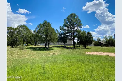 937 Kings High Road, Show Low, AZ 85901 - Photo 29