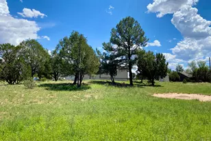 937 Kings High Rd, Show Low, AZ 85901 - Photo 29