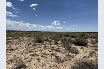 G-Barranch Lot 34, Saint Johns, AZ 85936 - Photo 9