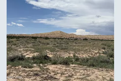 G-Barranch Lot 34, Saint Johns, AZ 85936 - Photo 5