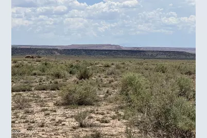 G-Barranch Lot 34, Saint Johns, AZ 85936 - Photo 11