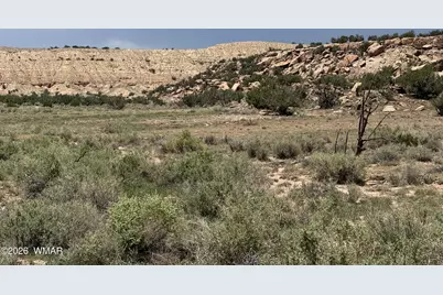 G-Barranch Lot 34, Saint Johns, AZ 85936 - Photo 3