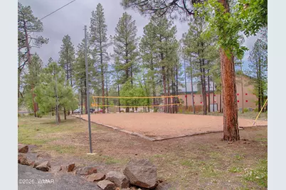3456 Turkey Track Road, Pinetop, AZ 85935 - Photo 55
