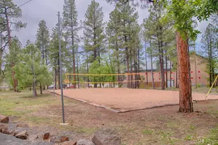3456 Turkey Track Rd, Pinetop, AZ 85935 - Photo 55