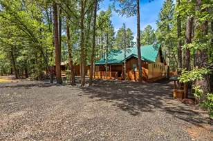 3456 Turkey Track Rd, Pinetop, AZ 85935 - Photo 33