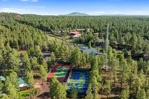 3456 Turkey Track Rd, Pinetop, AZ 85935 - Photo 51