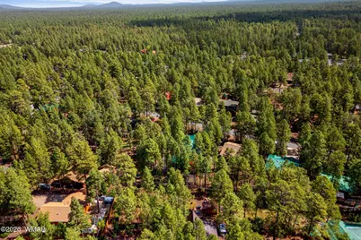 3456 Turkey Track Road, Pinetop, AZ 85935 - Photo 39