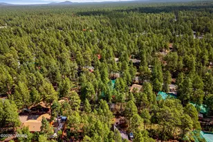 3456 Turkey Track Rd, Pinetop, AZ 85935 - Photo 39