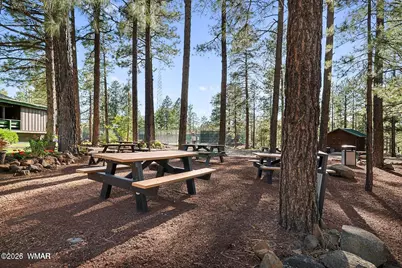 3456 Turkey Track Road, Pinetop, AZ 85935 - Photo 59