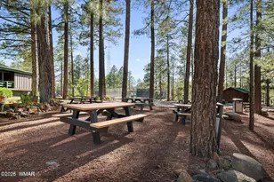 3456 Turkey Track Rd, Pinetop, AZ 85935 - Photo 59