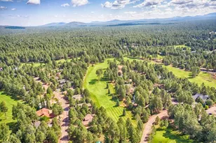 3456 Turkey Track Rd, Pinetop, AZ 85935 - Photo 61