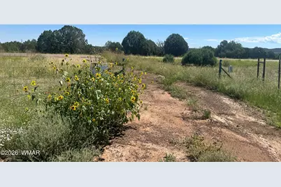 4683 State Route 260, Show Low, AZ 85901 - Photo 5