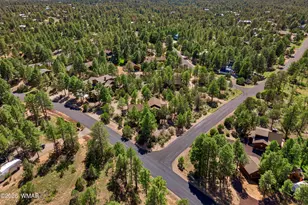 2253 Cross Country Rd, Overgaard, AZ 85933 - Photo 33