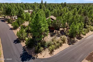 2253 Cross Country Rd, Overgaard, AZ 85933 - Photo 31