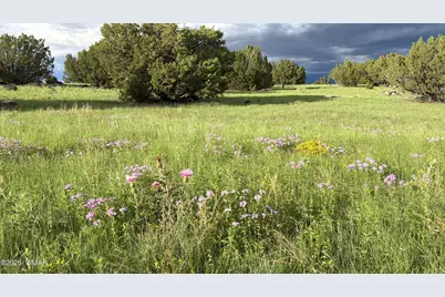 78 8006, Concho, AZ 85924 - Photo 3
