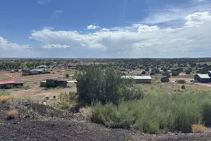 1099 S Kellis Blvd, Snowflake, AZ 85937 - Photo 113