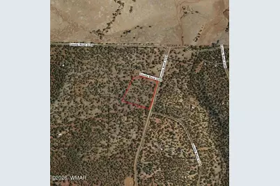 6 County Road 3195, Vernon, AZ 85940 - Photo 3