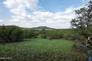 6 County Road 3195, Vernon, AZ 85940 - Photo 1