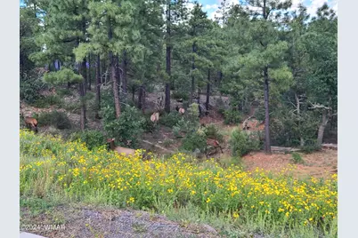 860 W Snow Creek Trail, Show Low, AZ 85901 - Photo 55