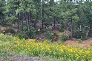 860 W Snow Creek Trail, Show Low, AZ 85901 - Photo 55