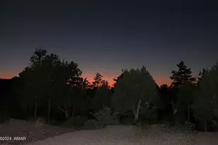860 W Snow Creek Trail, Show Low, AZ 85901 - Photo 41
