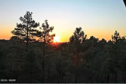 860 W Snow Creek Trail, Show Low, AZ 85901 - Photo 43