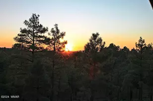 860 W Snow Creek Trail, Show Low, AZ 85901 - Photo 43