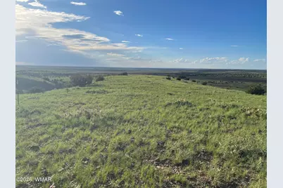 1292 County Road, Concho, AZ 85924 - Photo 11