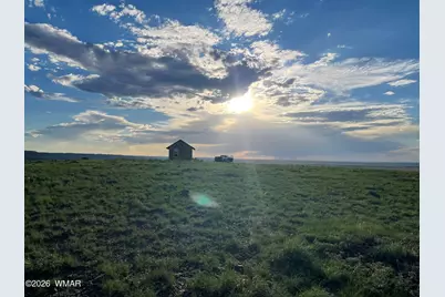1292 County Road, Concho, AZ 85924 - Photo 3