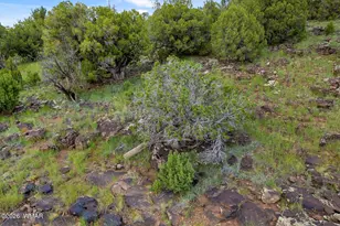8281 &amp 8283 Ridge Dr, Show Low, AZ 85901 - Photo 1