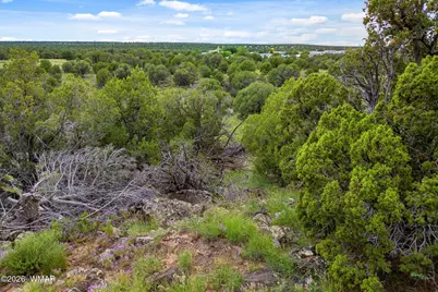 8281 &amp; 8283 Ridge Drive, Show Low, AZ 85901 - Photo 3