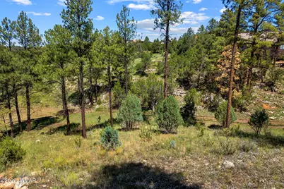 2294 Constellation Lane, Overgaard, AZ 85933 - Photo 17