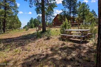 2294 Constellation Lane, Overgaard, AZ 85933 - Photo 19