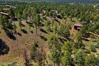 2294 Constellation Lane, Overgaard, AZ 85933 - Photo 13