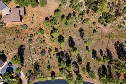 2294 Constellation Lane, Overgaard, AZ 85933 - Photo 3