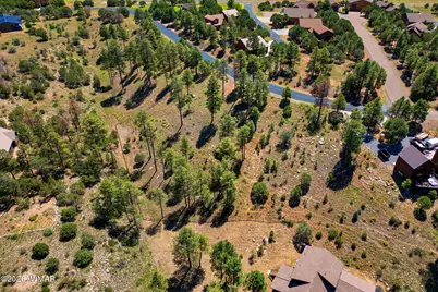 2294 Constellation Lane, Overgaard, AZ 85933 - Photo 11