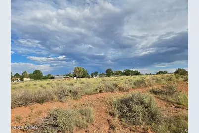 Lot 025 Cherry Blossom Lane, Snowflake, AZ 85937 - Photo 3