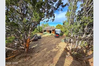 32 &amp; 34 Co Rd N8172, Concho, AZ 85924 - Photo 49