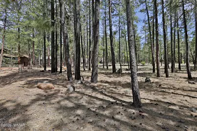 2682 Brahma Circle, Pinetop, AZ 85935 - Photo 3